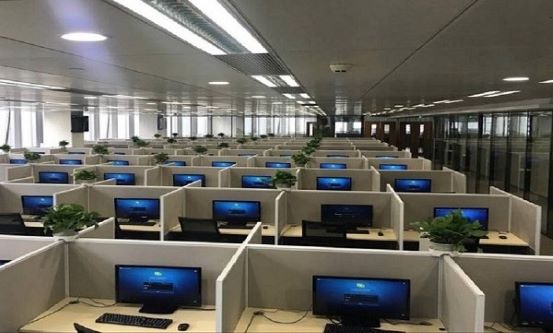 办公室组网布线服务 - 专业网络布线解决方案